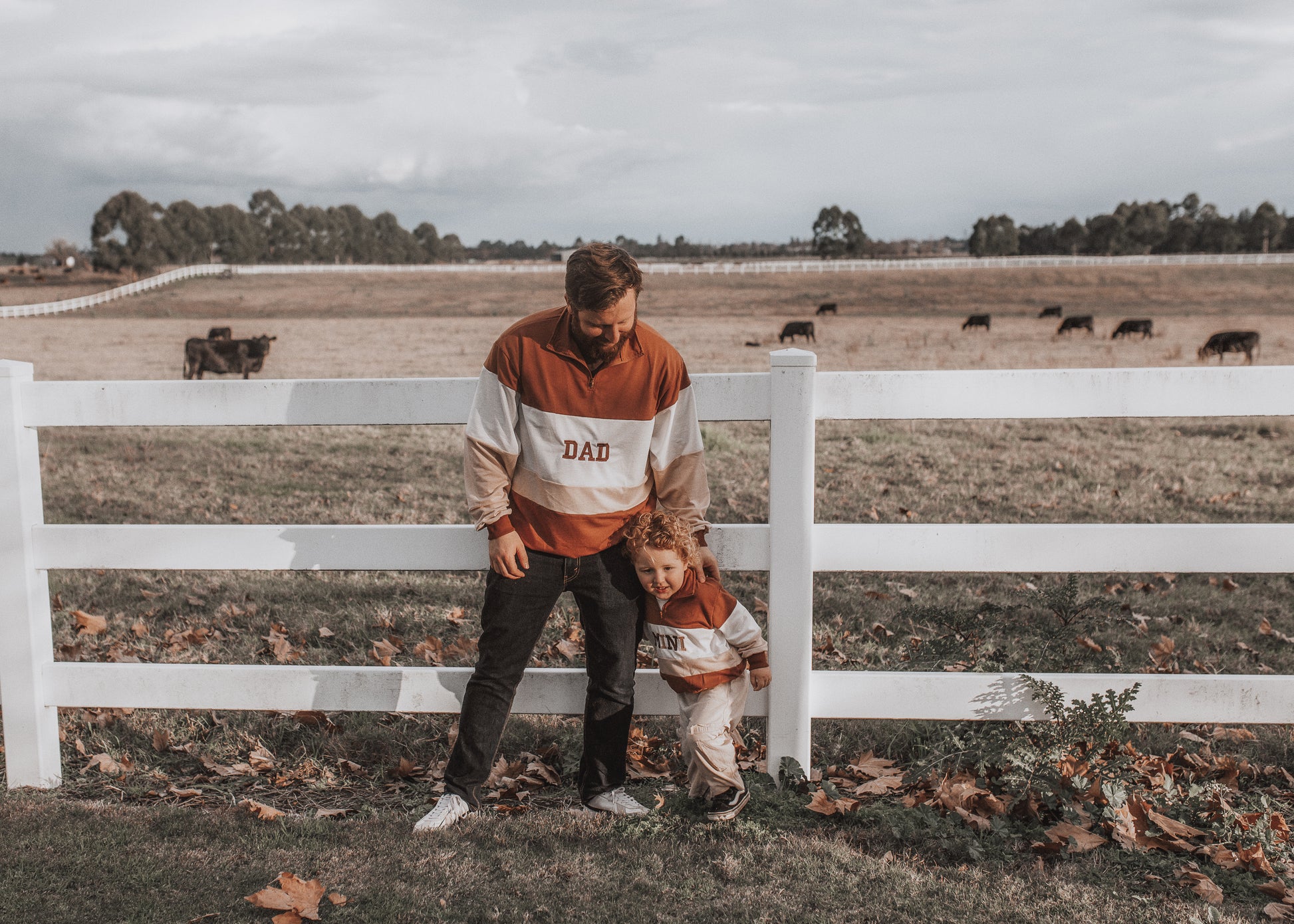 Dad Sweater | Tiramisu